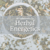 Energetic Herbalism Essentials