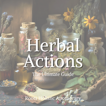 Herbal Actions Deep Dive